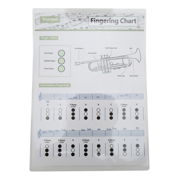 Trompet Akkorddiagram Fingersætning Note Musikinstrument Reference Guide til Hjemmeundervisning Lille