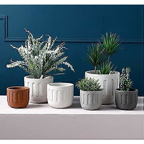 Passende keramisk blomsterpotte - For innendørs bruk - Matt tekstur - For sukkulenter - Liten blomsterpotte