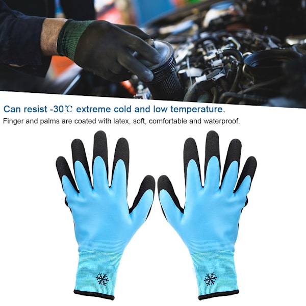-30℃ Arbetshandskar Halkfri, skärbeständig lågtemperaturhandsskyddshandskar för kylförvaring(9)