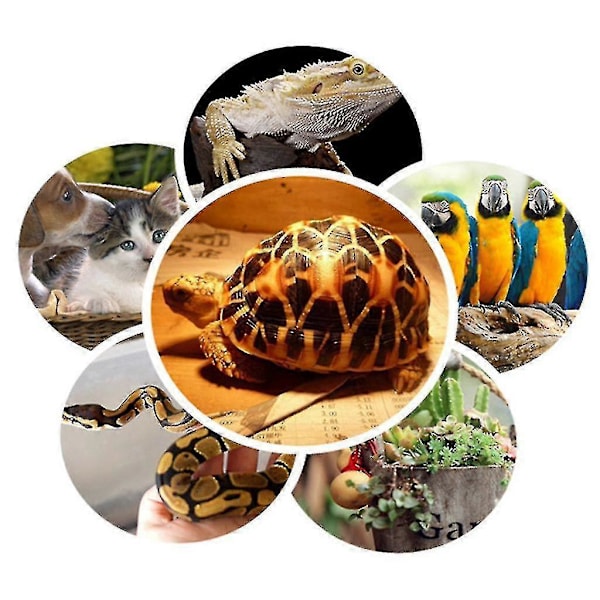 Vintervärme Reptil Värmelampa Husdjursbur Värmare Kit Papegoj Värmelampa Mångsidig Belysning Sköldpadda Värmeavgivare Ödla Reptil Fågelbur Dekoration
