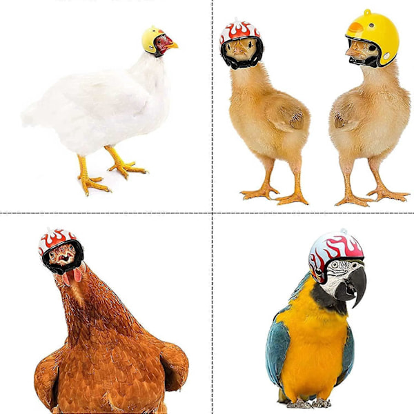 3 Stycken Kycklinghjälm, Fågelhjälm Säkerhetshjälm, Kycklinghjälm Hatt, för Husdjur Justerbart Kycklinghuvudskydd för Kyckling,