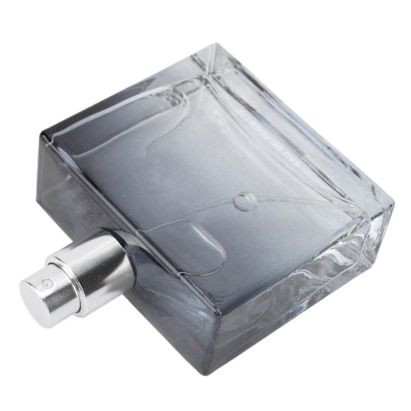 Herrparfym Bärbar Lätt doft Parfym Spray Uppfriskande Elegant Parfym för Daglig 50ml
