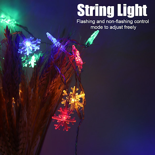 Snöflinga LED-slingljus Batterikontrolltyp Dekorativ lampa Fest Bröllop Prydnad 6m 40LED med blinkande läge Färgglad