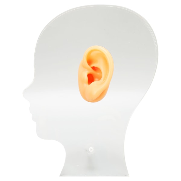 Korvamallin simulaatio Pehmeä silikoni, ammattimainen korvanäyttömuotti mould kuulolaitteiden korvakoruille
