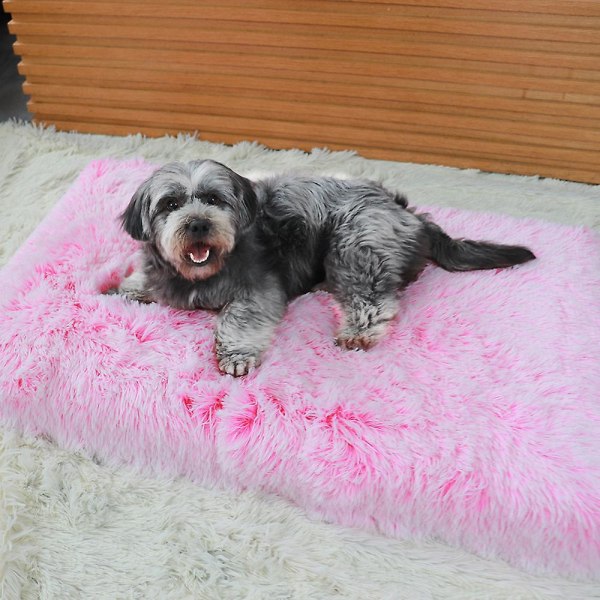 Husdjursbäddsoffa Kudde för hundar och katter - Plysch fyrkantig design - Rosa och vit - Liten storlek (40*30*5 cm)