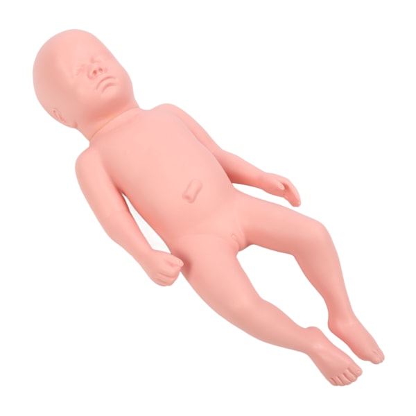 Nyfödd modell Plast Educational High Simulering Full Term Baby Simulator Modell för undervisning