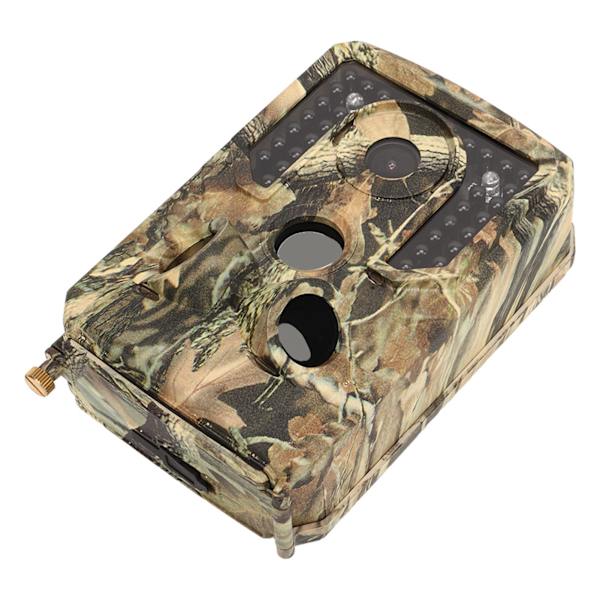 1080P HD Trail Kamera Udendørs Infrarød Detektion Jagt Kamera IP54 Vandtæt Wildlife Scouting IR Cam