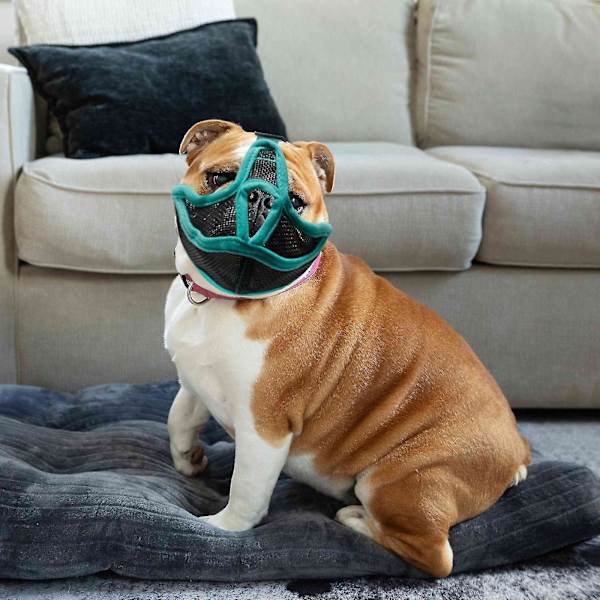 Hengittävä verkkomateriaalista valmistettu säädettävä koiran kuonokoppa ranskalaisille bulldoggeille ja mopseille L Harmaa