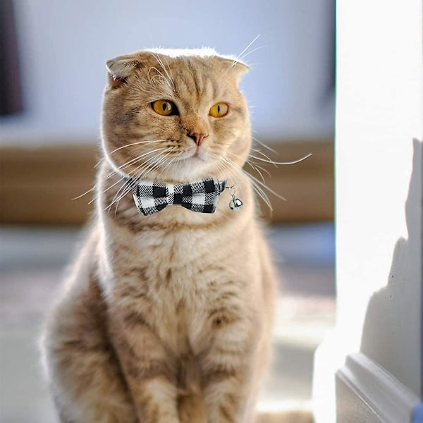 Söt Katt Halsband Fluga, Svart