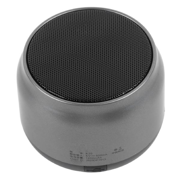 Bärbar Bluetooth-högtalare Hög känslighet 1200mAh Trådlös Bluetooth 5.0-högtalare med snodd för resor utomhus
