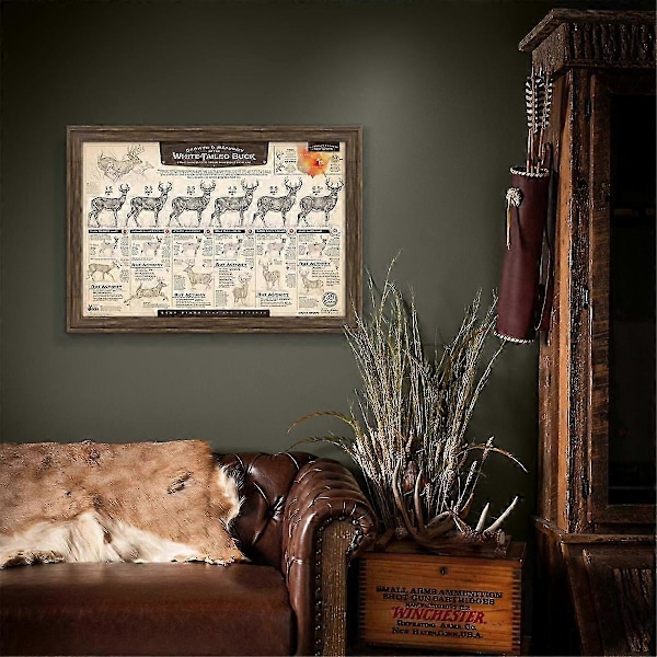 \"The Growth and Maturity of the White-Tailed Buck\" Paper Prints A