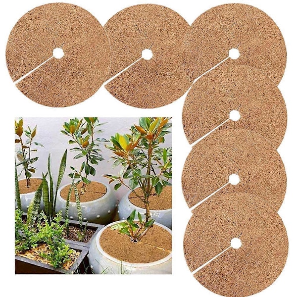 Täckbarkskiva, Vinterskydd för Krukväxter, Växtskyddsmatta, Biologiskt Nedbrytbara Kokosmattor för Trädgårdsarbete, 20cm