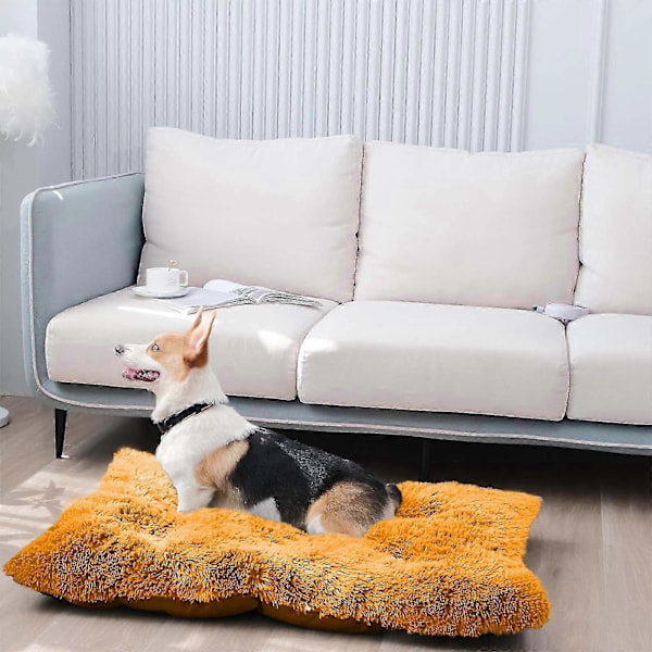 Mukava Kennel Koirien Lemmikkipeti Syvä Uni Pv Pölyämätön Nukkumapaikka Oranssi