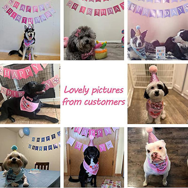 Rosa set för katter och hundar med triangelhalsdukar, hatt, fluga och banderoll - festdekor för hund- eller kattfödelsedag
