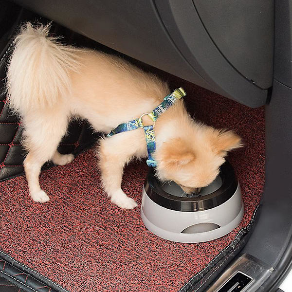 Grå vattenflaska för hundar på språng, 750 ml, stänksäker hundskål