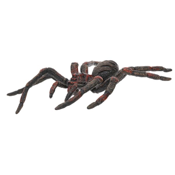Simulerings Insekt Model Halloween Børn Vilde Dyr Figur Uddannelseslegetøj DekorationPL127‑846