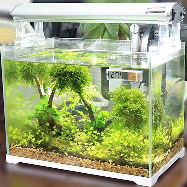 Akvarie Termometer Måler LCD 3D Digital Elektronisk Temperaturmåling Fisketank Termometer