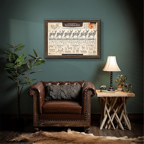 \"The Growth and Maturity of the White-Tailed Buck\" Papir Print A-B8
