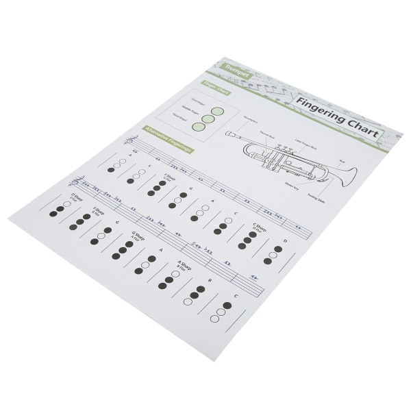 Trumpet Chord Chart Fingersättning Not Musikinstrument Referensguide för hemklassLarge
