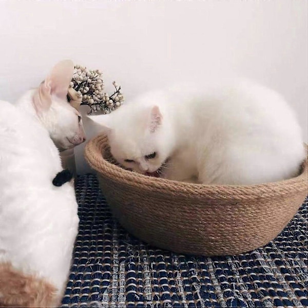Naturlig Sisal Reb Kraftig Katte Kradser Udskiftning Snor til Katte Kradsestolpe DIY Håndværk Zekai Grøn L