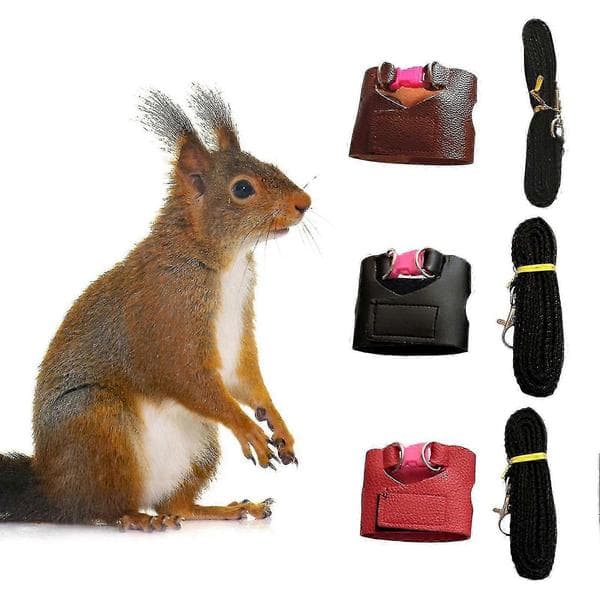 Squirrel Leash Escape-Proof Easy-Control Accessory Squirrel Training Tool Leash Split Vest For Outdoor Coffee Coffee M