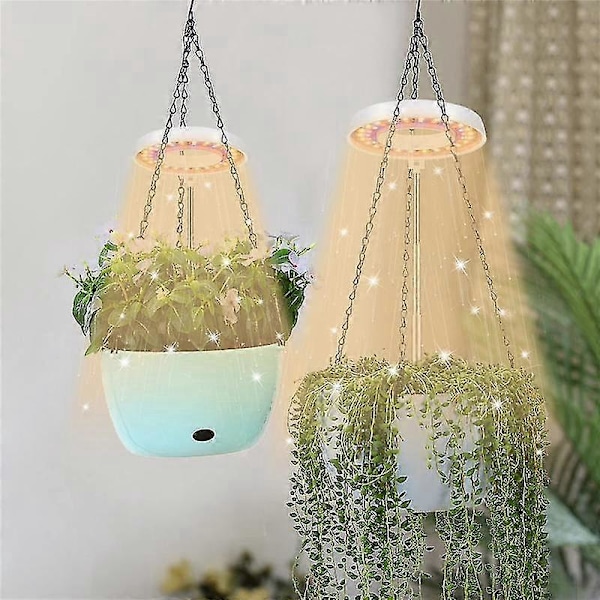 LED Kasvivalo Sisäkasveille - Halo Kasvilamppu Automaattisella Ajastimella 4/8/12/18 Tuntia - Ihanteellinen Bonsai- ja Mehikasvien Kasvuun