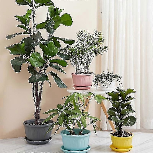 Blomsterpotte Pent Utseende Mote Lettvekt Plast Blomster Grønnsaksplanter Potte Med Brett For Hjem 2XL Gul