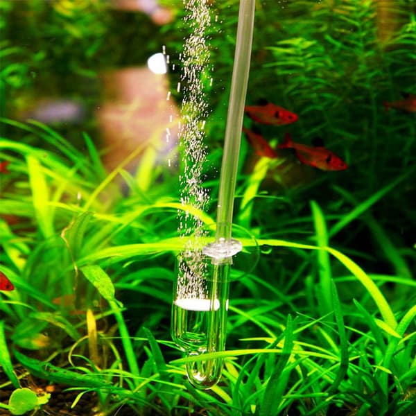 CO2 Högtransparent Glas Refiner Diffuser Stor Rakt Rör för Akvarium Vattenväxt Fisk Tank