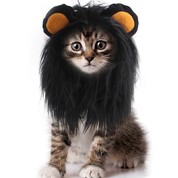 Rolig løvemanke-hætte til kat Blød fluffy kæledyrs-cosplay-paryk til kat lille hund Sort Black M