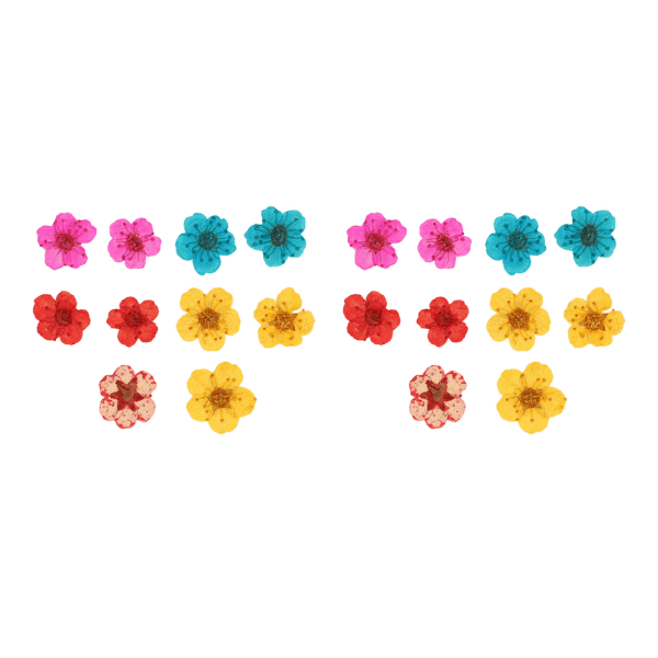 20 stk tørrede blomster blandet farve romantisk fuld form organisk blød afslappende naturlige tørrede pressede blomster til dekorationer