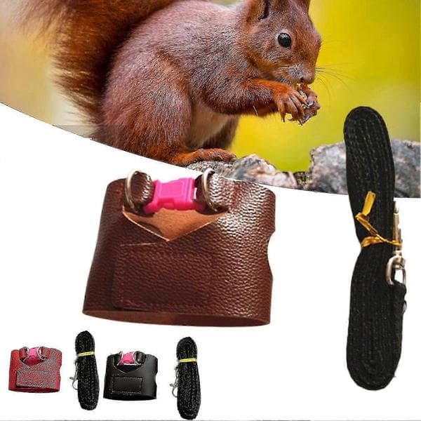 Squirrel Leash Escape-Proof Easy Control Accessory Squirrel Training Tool Leash Split Vest For Outdoor Red Red S