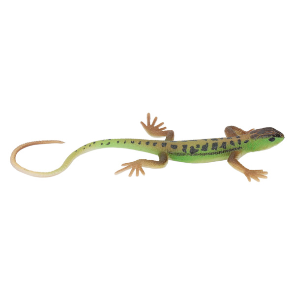 Ödlor Figur Leksak Simulering Säker Målning Barn Present Reptil Modell Dekoration för Sovrum Studie Samling PL127 1511