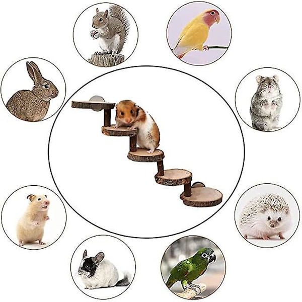 Klatreleke for hamster, hamsterstige, tyggeleker i trestige, trebro hamsterleker, for hamstere, mus, gerbil, rotter, ekorn, marsvin