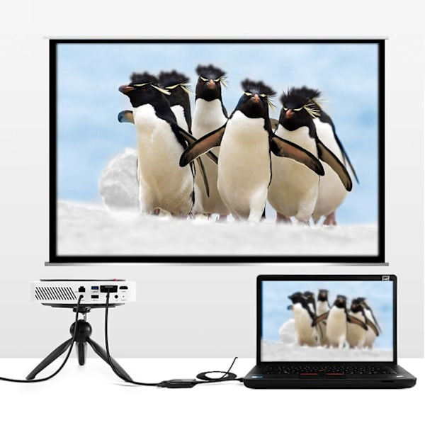 1080P HD DisplayPort til VGA-kabeladapter til bærbar pc (1,8 m)