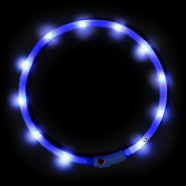 LED-koiranpanta, valaistu koiran kaulakoru koiran ulkoiluttamiseen yöllä, sininen