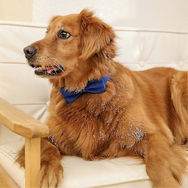 Halsbånd til hund, ensfarget, justerbart hodeplagg, sløyfe, hundetilbehør til bryllupsfest, lysegrønn M