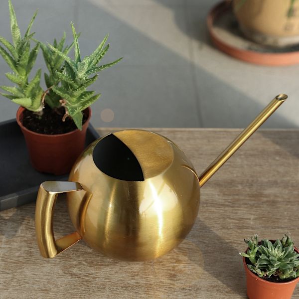 1000 ml vandkande i rustfrit stål med lang tud til haveblomster og planter, guld