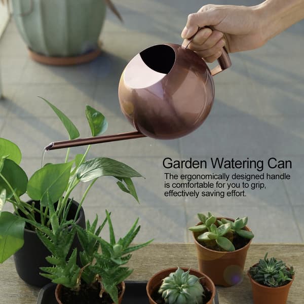 1000 ml vandkande i rustfrit stål med lang tud til haveblomster og planter, bronze