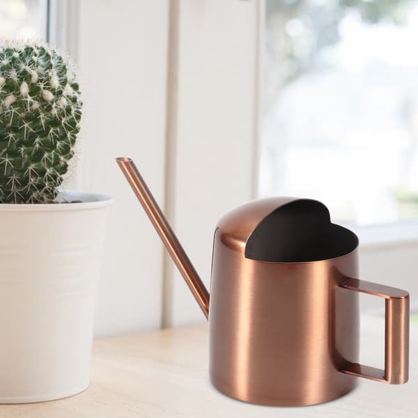 300 ml lille vandkande i rustfrit stål til planter og blomster med lang tud til hjemmebrug