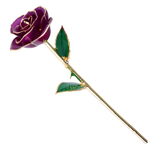 Äkta lila ros 24K guld doppad konserverad blomma presenter med stativ för alla hjärtans dag årsdag bröllop