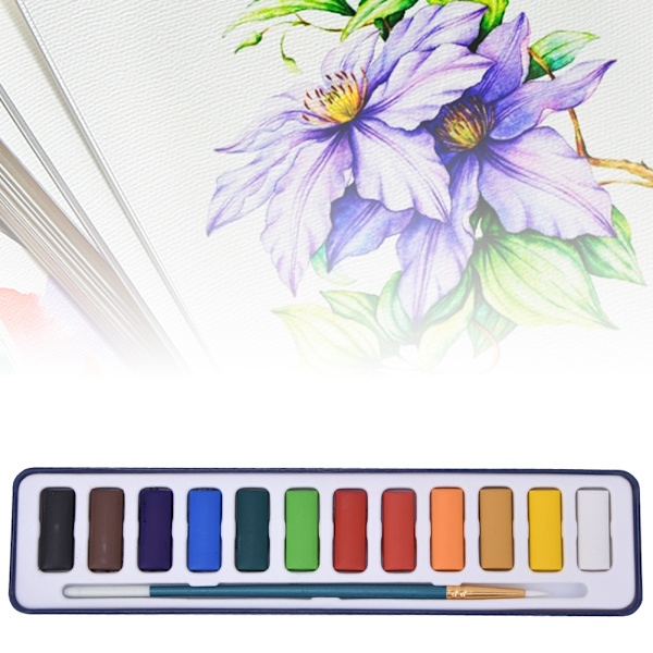 Solid Pigment Børneakvarel Maling Hurtigtørrende Pigment Kit Kunst Tilbehør 12 Farver