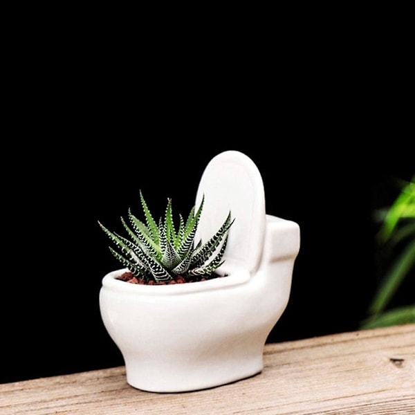 Modern Keramisk Blomkruka för Sukkulenter, Kaktusar och Bonsaiträd