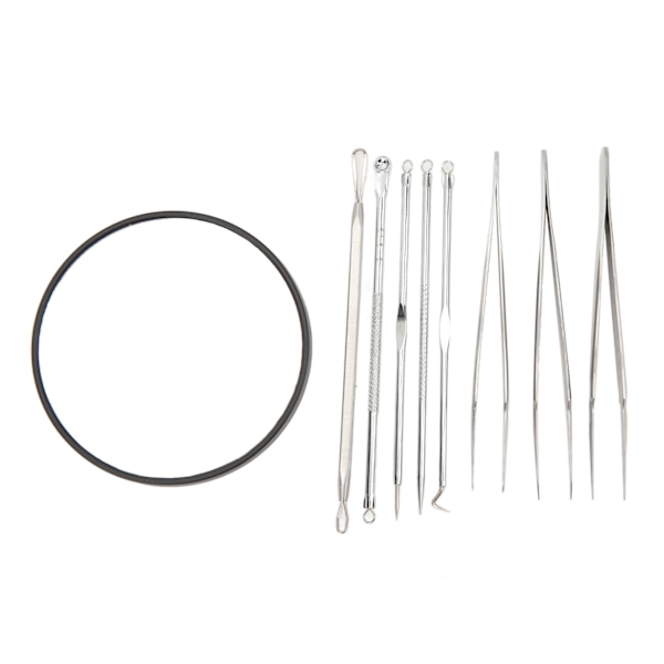 Finnar Nålar Set Svart 10X Förstoring Spegel Spisspets Pormaskar Remover Tools