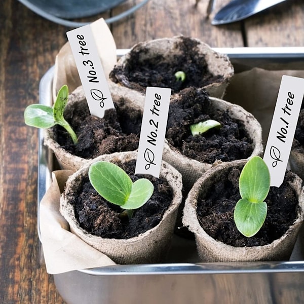 Gråhvite plantetiketter i plast - 100 stk., 5*1 cm, vanntett markør