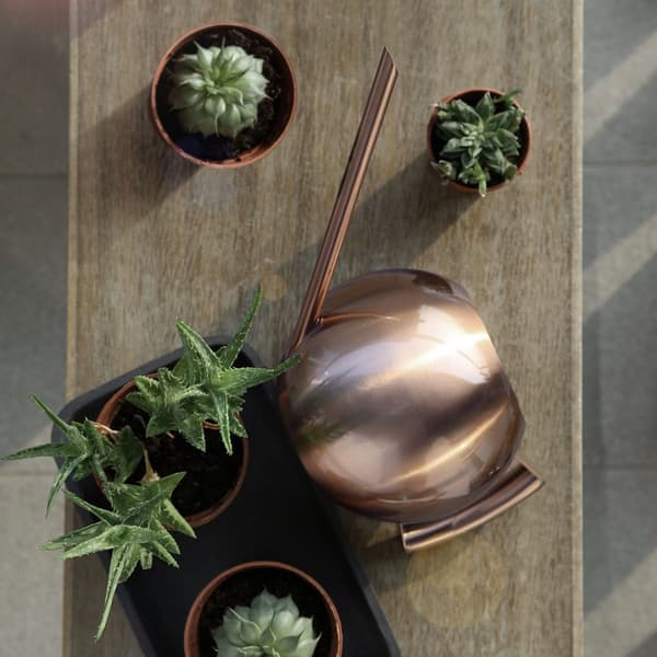 1000 ml vandkande i rustfrit stål med lang tud til haveblomster og planter, bronze