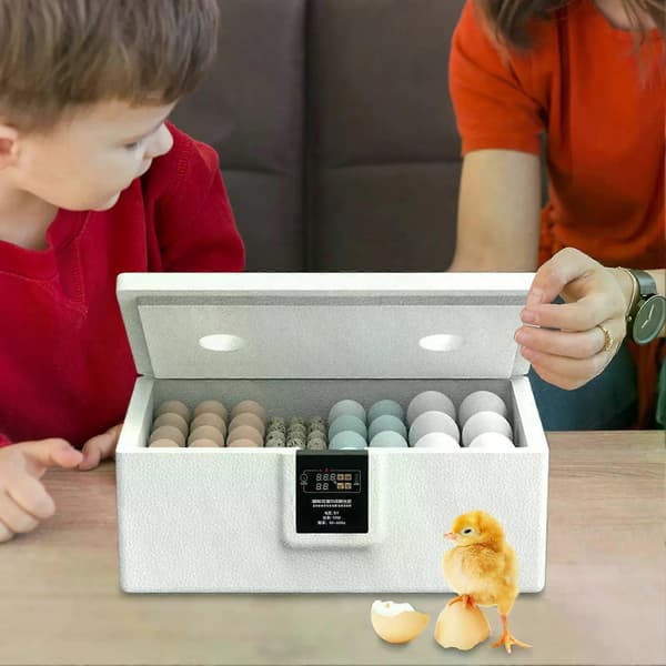 Egg Incubator 10-25 Automatic Egg Incubator Automatic Turning Poultry Incubator Intelligent Hatcher For Home Use