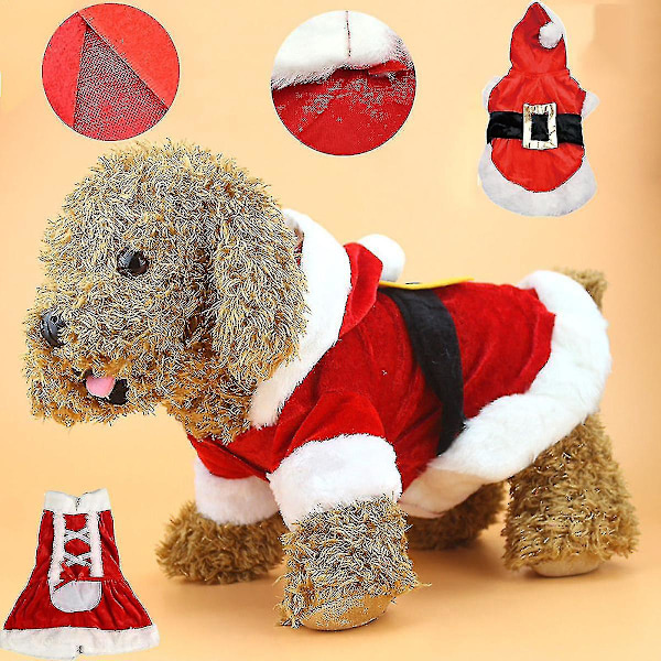 Halloween Edderkop Kostume til Kæledyr Hunde Rød Jumper L