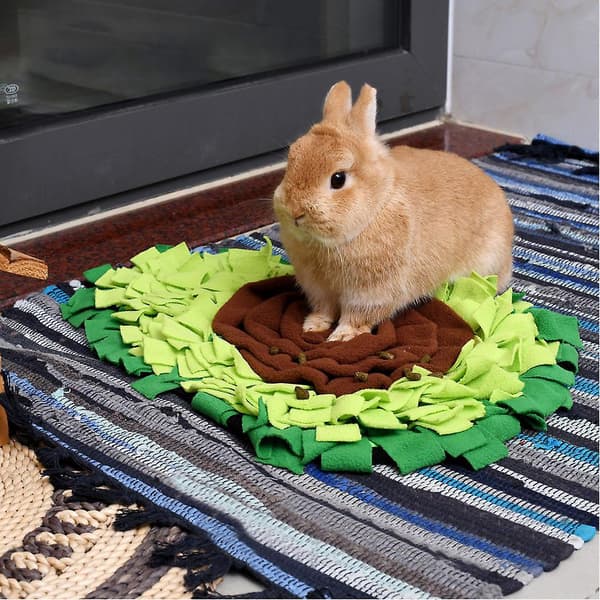 Avocado-formad Hund Snugglematta för Långsam Matning och Nosarbeteträning
