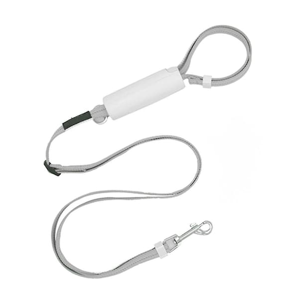 Adjustable Dog Leash Automatic Flexible Dog Rabbit Cat Leash Traction Rope Belt