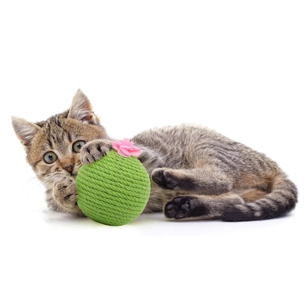Kaktus Sisal Rep Kattboll Leksak med Catnip Katt Teaser Leksak för Kattungar Katter Interaktiv Leksak